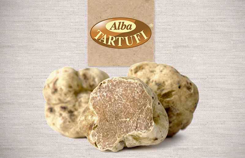 Alba White Truffle