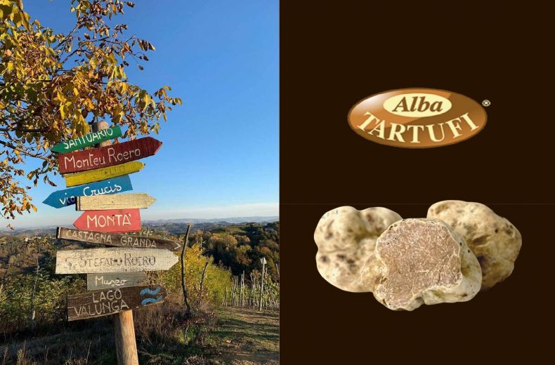 6c Tartufo Bianco D Alba Alba Tartufi Tour Del Tartufo D Alba