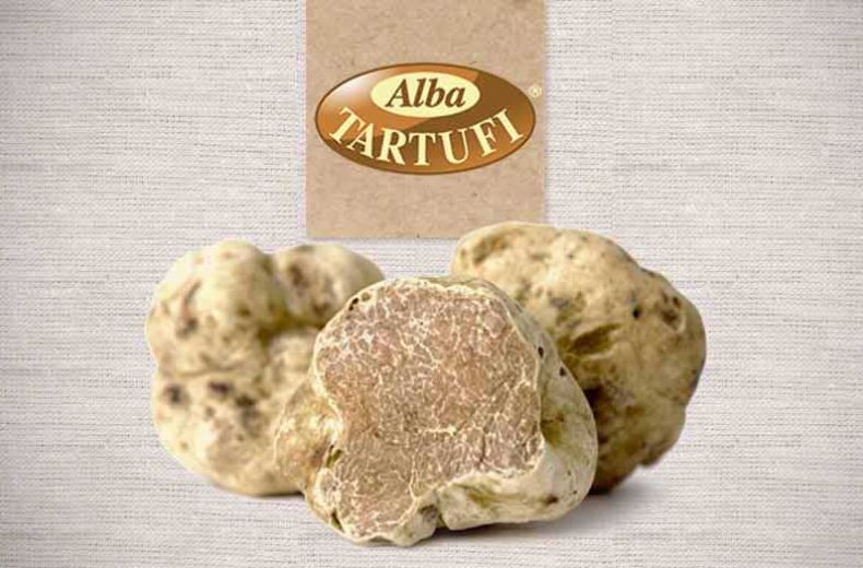 Alba Tartufi Tartufi Di Stagione