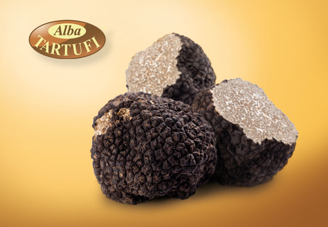 Black summer truffle - Alba Tartufi;