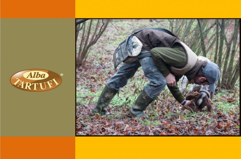 Biodiversita E Tartufi In Piemonte Alba Tartufi
