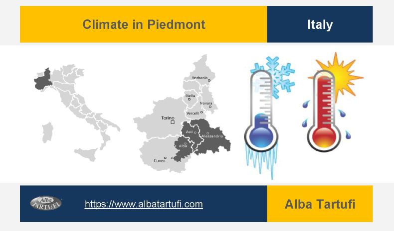 Climate in Piedmont - AlbaTartufi;