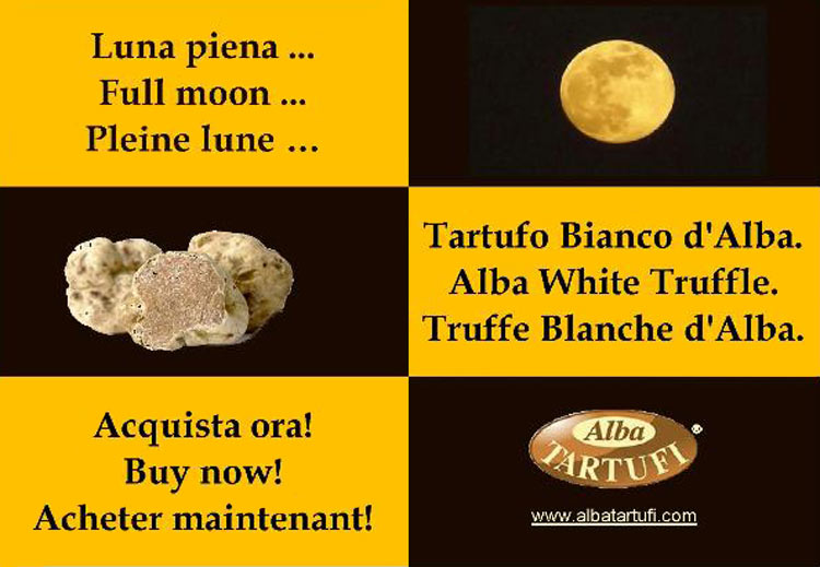 Full moon ... Alba White Truffle. Buy now!