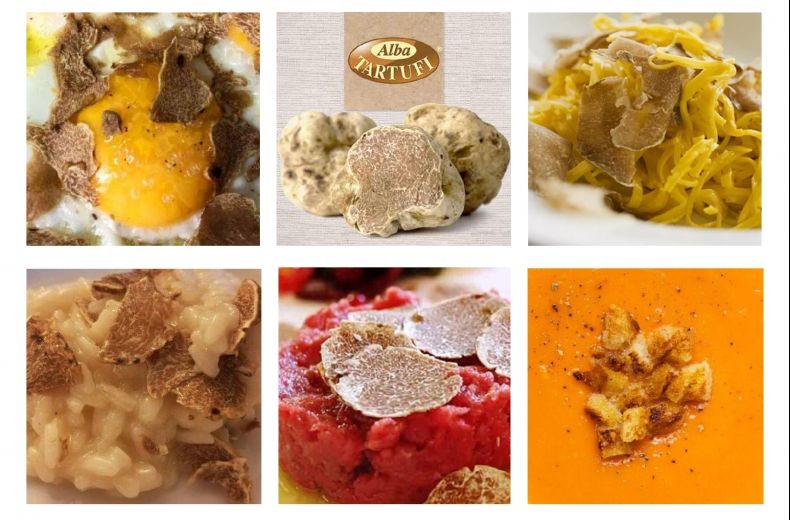 Tartufo Bianco D Alba Alba Tartufi L Idea Per Un Piatto Gourmet