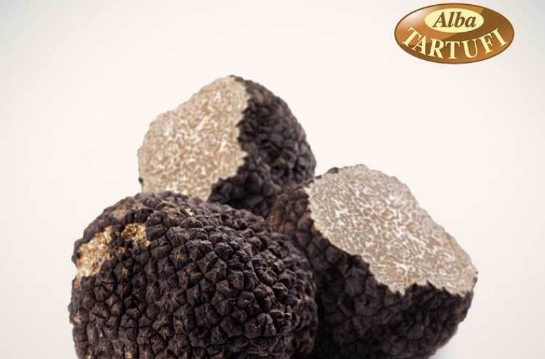 Tartufo Nero Estivo At