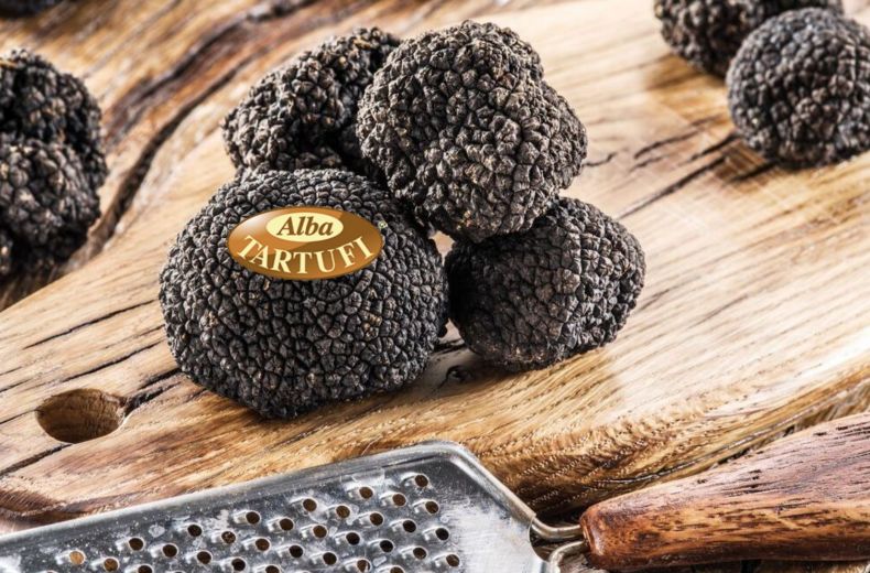 Tartufo Nero Estivo Del Piemonte Inizia La Stagione