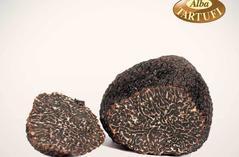 Tartufo Nero Pregiato Alba Tartufi 1 2