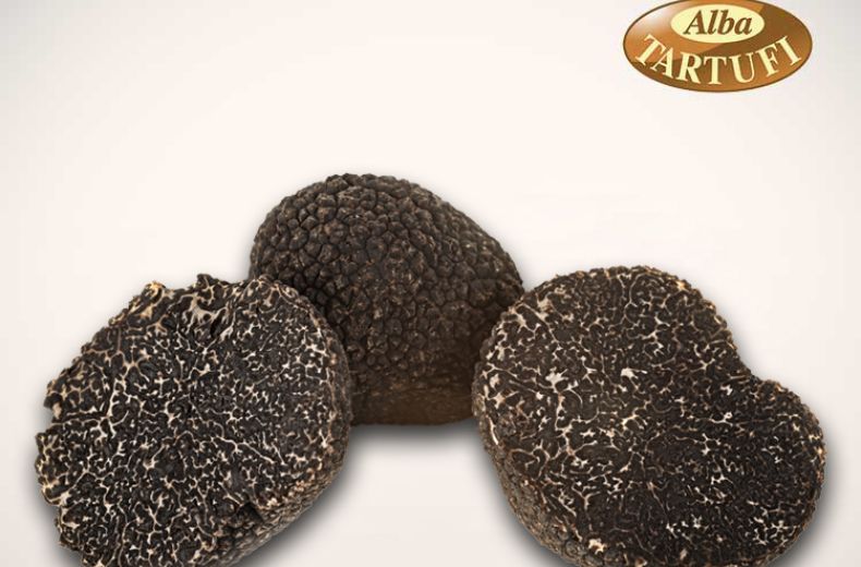Tartufo Nero Pregiato Alba Tartufi Tartufi Freschi