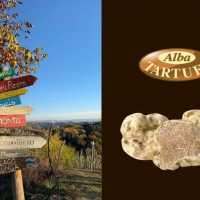 4c Tartufi Di Stagione A Breve Il Tartufo Bianco D Alba
