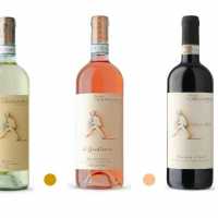 4c Vino Gourmet Truffle Gourmet Alba Tartufi