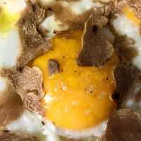 Albatartufi Tartufo Di Alba Piemonte Italia