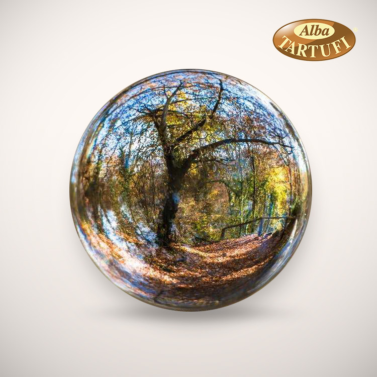 ALBA TRUFFLE TOUR