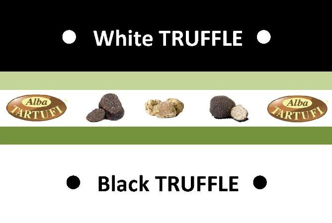 White TRUFFLE - Black TRUFFLE  ALBATARTUFI;