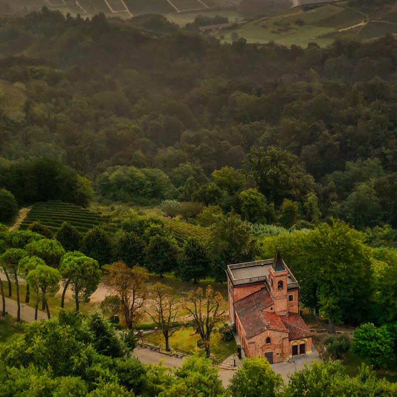 Tartufo Bianco di Alba